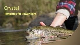  Presentation with trout - PPT layouts with catch-of-a-rainbow-trout background and a tawny brown colored foreground