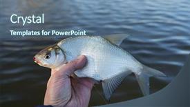  Presentation with hunting and fishing lodge - Theme having eye catching - bream in fisherman's hand float background and a ocean colored foreground