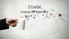  Presentation with house fly insect close up - Colorful slides enhanced with category management - close up of businessman holding backdrop and a light gray colored foreground