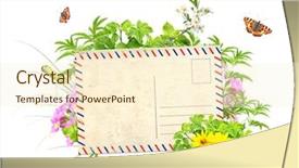  Presentation with monarch butterfly isolated on white - Theme consisting of catepillar - message of nature isolated background and a cream colored foreground