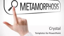  Presentation with search - Colorful theme enhanced with caterpillar cocoon butterfly - metamorphosis written in search bar backdrop and a white colored foreground