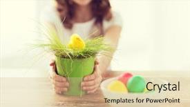  Presentation with chiken - Amazing presentation theme having catholic preschool - easter holiday and child concept backdrop and a lemonade colored foreground
