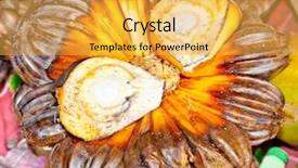  Presentation with vietnam - Presentation theme with cute cat lying on sofa and word meow on background background and a light gray colored foreground