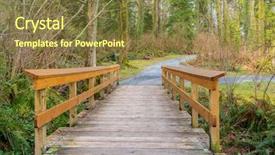  Presentation with erosion trail - Slide set with green moss nature beautiful - fragment of malcolm lowry trail background and a tawny brown colored foreground