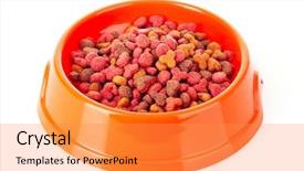  Presentation with cats - Amazing slide set having red plastic bowl - cats food isolated on white backdrop and a gold colored foreground