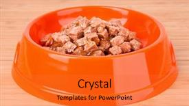  Presentation with cats - PPT theme consisting of cats food on wooden table background and a red colored foreground