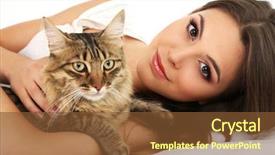  Presentation with young grey maine coon cat - Colorful PPT layouts enhanced with cats girls - beautiful young woman with cat backdrop and a tawny brown colored foreground