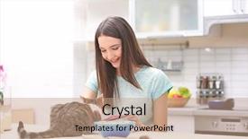  Presentation with young grey maine coon cat - Beautiful slide set featuring cats milk - morning of beautiful young woman backdrop and a coral colored foreground