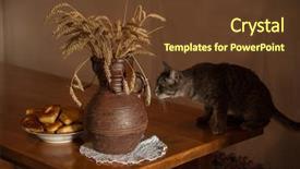  Presentation with cat - Amazing presentation theme having cats milk - wheats and old jug backdrop and a tawny brown colored foreground