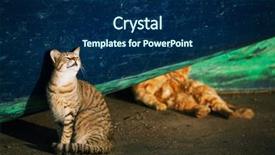  Presentation with fishing boat - Cool new presentation theme with cats under blue fishing boat backdrop and a  colored foreground