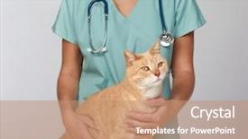  Presentation with veterinary - PPT theme with cats vacine - veterinarian doctor with cat background and a coral colored foreground