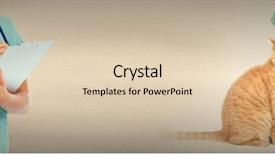  Presentation with veterinary - Colorful PPT theme enhanced with cats vacine - veterinarian doctor with cat backdrop and a lemonade colored foreground