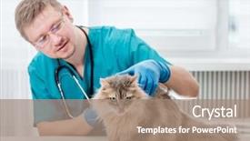  Presentation with veterinary - Colorful presentation enhanced with cats vacine - veterinarian making regular check up backdrop and a coral colored foreground