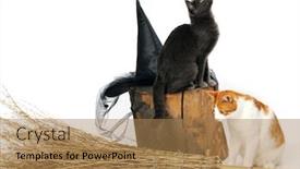  Presentation with cats - PPT theme consisting of cats with witch accessories background and a coral colored foreground