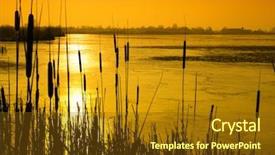  Presentation with pond - Cool new PPT theme with cattail - pond in sunset backdrop and a tawny brown colored foreground