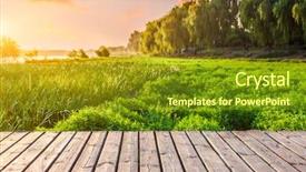  Presentation with homeless person sleep on sidewalk - PPT theme consisting of cattail - sidewalk in the park background and a gold colored foreground