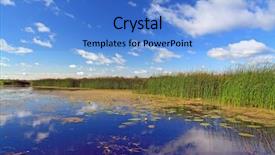  Presentation with marsh - Amazing presentation design having cattail - summer marsh under cloudy sky backdrop and a  colored foreground