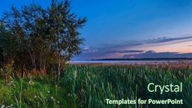  Presentation with field of dreams - Audience pleasing slide deck consisting of cattail-in-a-field backdrop and a tawny brown colored foreground
