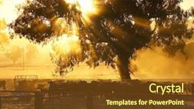  Presentation with beef cattle farm - PPT theme with cattle in a farm background and a tawny brown colored foreground