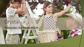  Presentation with grandfather - Beautiful presentation theme featuring caucasian-brother-and-sister-picking backdrop and a mint green colored foreground