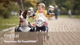  Presentation with dog park - Audience pleasing slide set consisting of caucasian-little-boy-driving-dog backdrop and a coral colored foreground