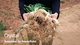  Presentation with older person holding pills - Colorful theme enhanced with caucasian person holding a bunch backdrop and a coral colored foreground