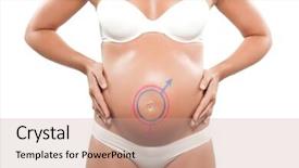  Presentation with female male symbol - Audience pleasing presentation theme consisting of caucasian pregnant woman with female male sign symbol drawn on the belly isolated studio on white background backdrop and a coral colored foreground