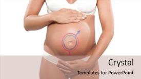  Presentation with female male symbol - Amazing PPT theme having caucasian pregnant woman with female male sign symbol drawn on the belly isolated studio on white background backdrop and a coral colored foreground