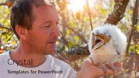  Presentation with palm - Slides consisting of caucasian-researcher-holding background and a coral colored foreground