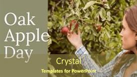  Presentation with digital-farm - Slide set enhanced with caucasian-young-woman-picking-apples background and a tawny brown colored foreground