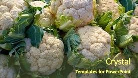  Presentation with ethnical pattern - Colorful PPT layouts enhanced with cauliflower cabbage texture pattern stacked backdrop and a  colored foreground