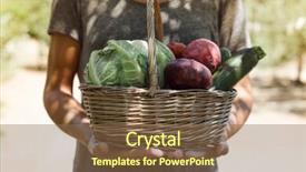  Presentation with cauliflower - Slide deck enhanced with cauliflower field - closeup of a young caucasian background and a tawny brown colored foreground