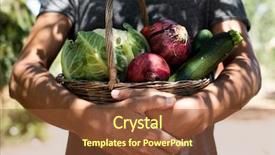  Presentation with rustic - PPT theme with cauliflower field - closeup of a young caucasian background and a tawny brown colored foreground