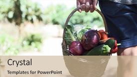  Presentation with orchard - Presentation theme having cauliflower field - closeup of a young caucasian background and a coral colored foreground