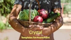  Presentation with rustic - Beautiful PPT theme featuring cauliflower field - closeup of a young caucasian backdrop and a tawny brown colored foreground