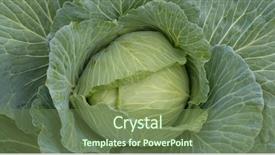  Presentation with cauliflower - Slides enhanced with cauliflower field - fresh cabbage in farm background and a tawny brown colored foreground