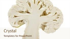  Presentation with cauliflower - Audience pleasing presentation theme consisting of cauliflower is isolated backdrop and a lemonade colored foreground