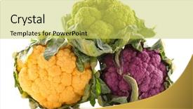  Presentation with cauliflower - PPT layouts featuring cauliflowers in tree colors background and a  colored foreground