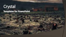  Presentation with deforestation - Presentation featuring caused by deforestation and slash background and a wine colored foreground