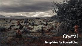  Presentation with burn - Presentation design featuring caused by deforestation and slash background and a wine colored foreground