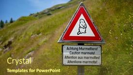  Presentation with caution - Beautiful presentation theme featuring caution marmots traffic sign on an alpine road backdrop and a tawny brown colored foreground