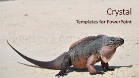  Presentation with bahamas - Amazing slide set having cays land and sea park backdrop and a  colored foreground