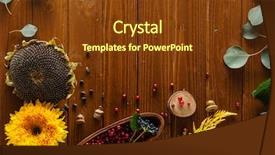  Presentation with inspiration - PPT theme featuring ccelosia - autumn inspiration background and a  colored foreground