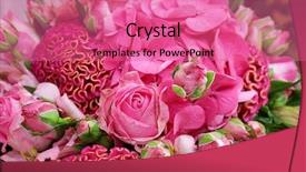  Presentation with flowers - PPT layouts with ccelosia - beautiful bouquet of blooming flowers background and a coral colored foreground