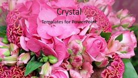  Presentation with purple lotus flowers blooming - Theme having ccelosia - beautiful bouquet of blooming flowers background and a coral colored foreground