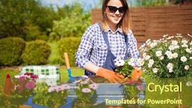  Presentation with cheerful - Audience pleasing presentation theme consisting of ccelosia - cheerful young woman wearing gloves backdrop and a tawny brown colored foreground