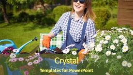  Presentation with cheerful - Cool new presentation with ccelosia - cheerful young woman wearing gloves backdrop and a tawny brown colored foreground