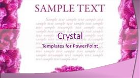  Presentation with purple orchids pink flowers orchid - PPT layouts with ccelosia - pink frame of flowers celosia background and a pink colored foreground