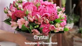  Presentation with abstract beautiful black pink glitter - PPT layouts with ccelosia - woman holding beautiful bouquet background and a tawny brown colored foreground