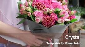  Presentation with pink flowers - Audience pleasing theme consisting of ccelosia - woman holding beautiful bouquet backdrop and a tawny brown colored foreground